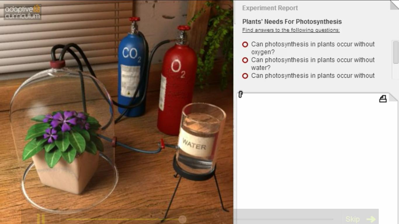 Plants & Photosynthesis
