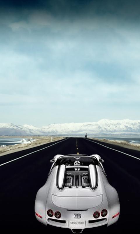 car avoider