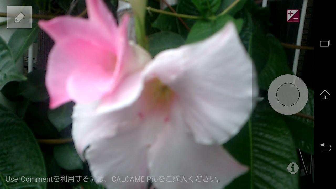 CALCAME simple 1280x960 camera