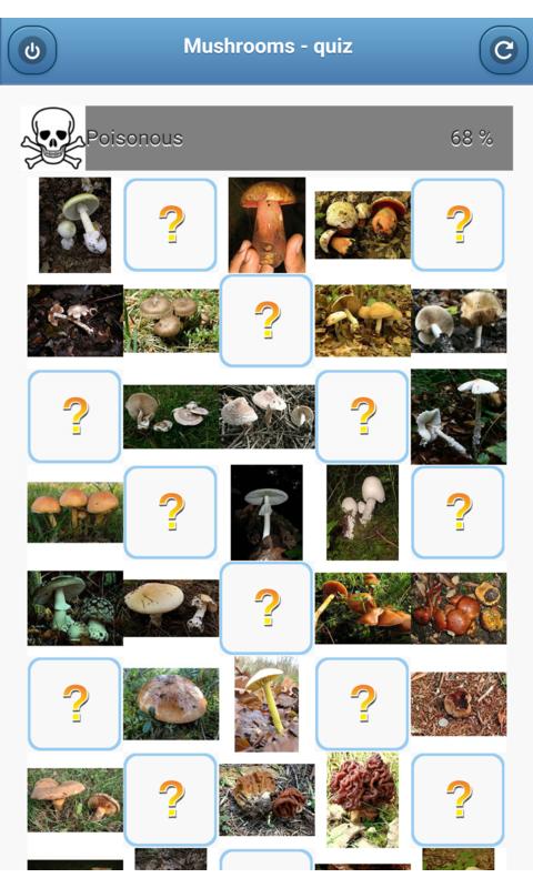 Mushrooms - quiz