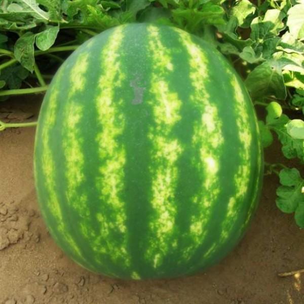 Ghiceste legume si fructe