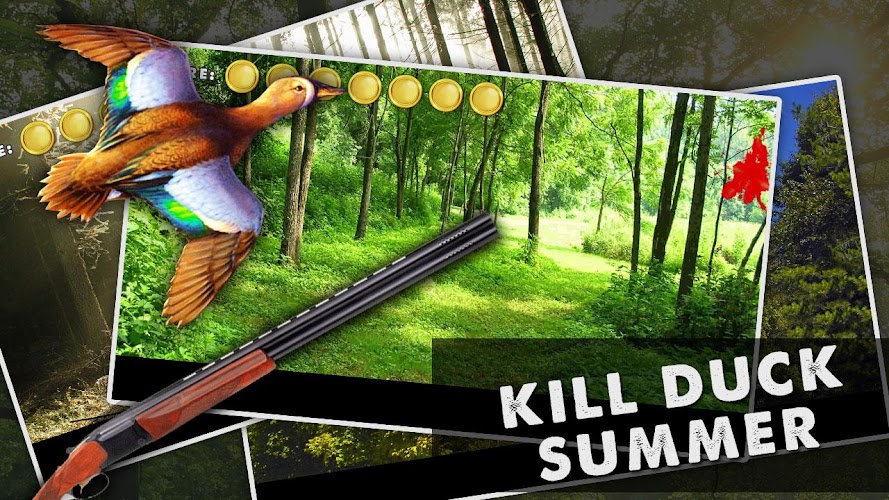 Kill Duck Summer
